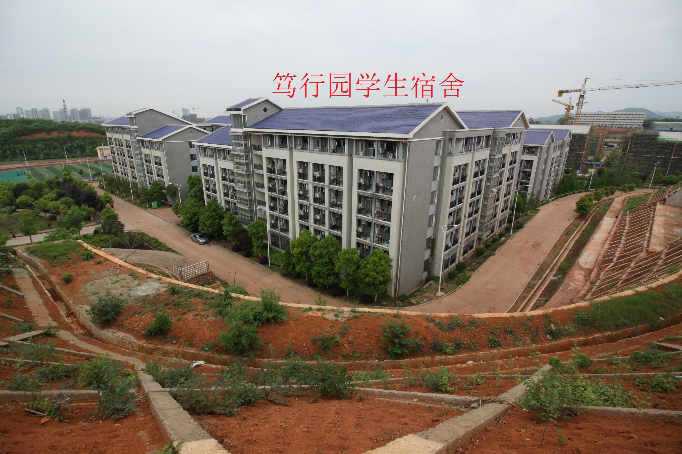 湖南大学文凭(湖南大学衡阳分校毕业证样本)