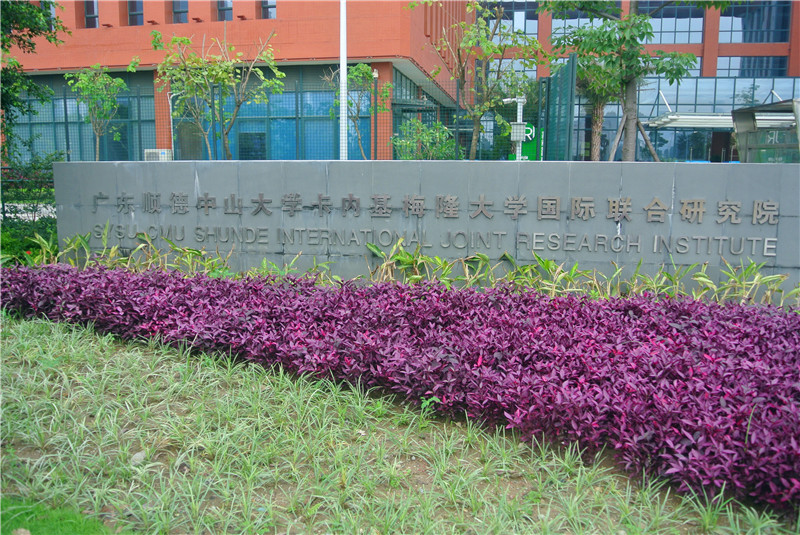 中山大学毕业证和学位证编号