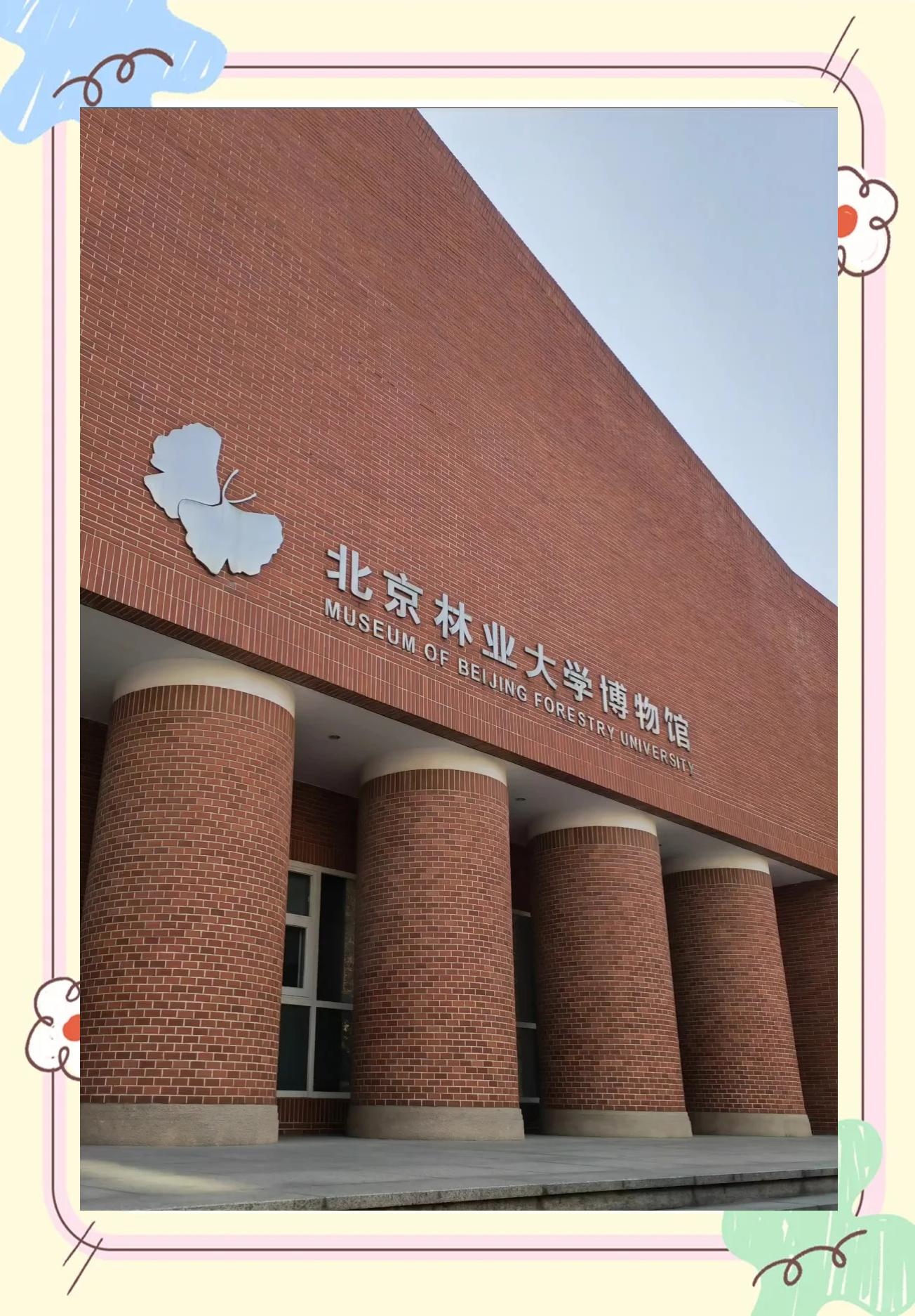 北京林业大学研究生院